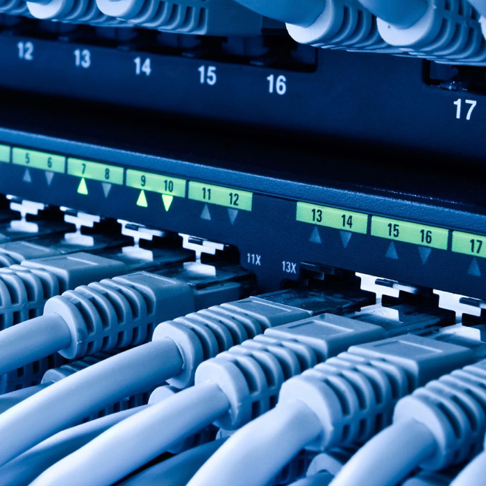 Ethernet cables plugged into panel