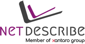 netdescribe logo